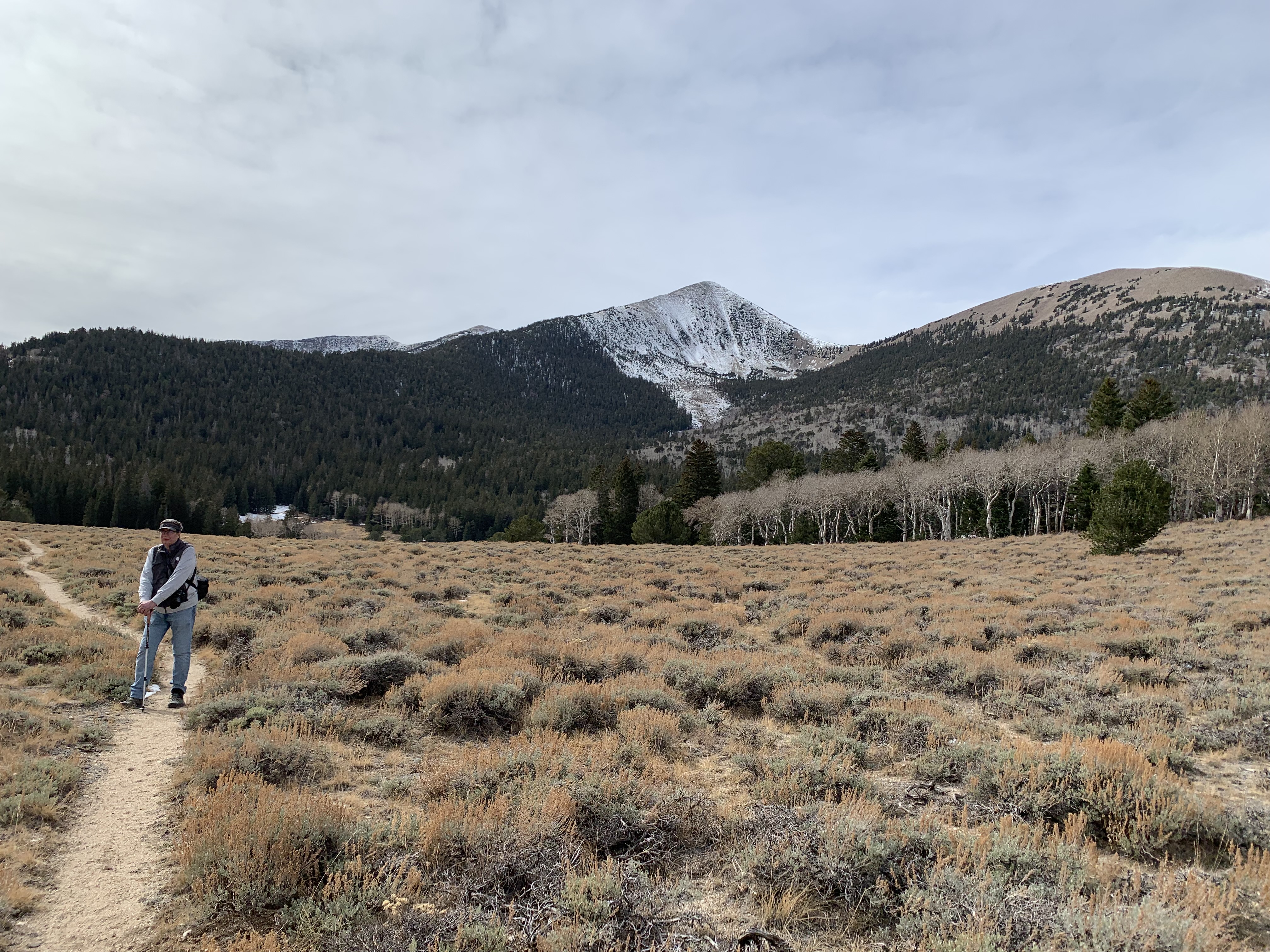 Great Basin NP